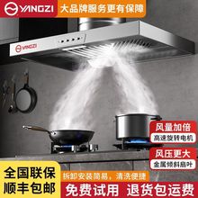 扬子出租房拢烟式吸油烟排气换气扇厨房家用静音强力抽风机油烟机
