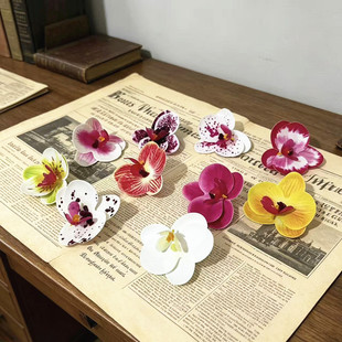 �A��6.5����3D��ӡ�zƬ�����m��������l�A�^�diy�ֹ���c�Y�b�