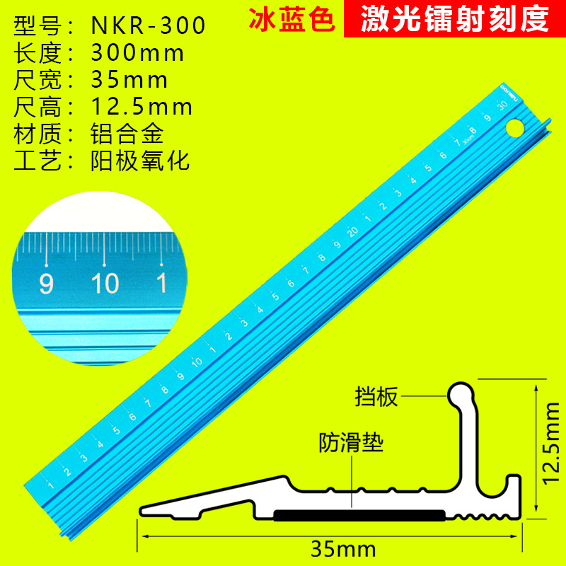 30cm [레이저 스케일] 아이스 블루