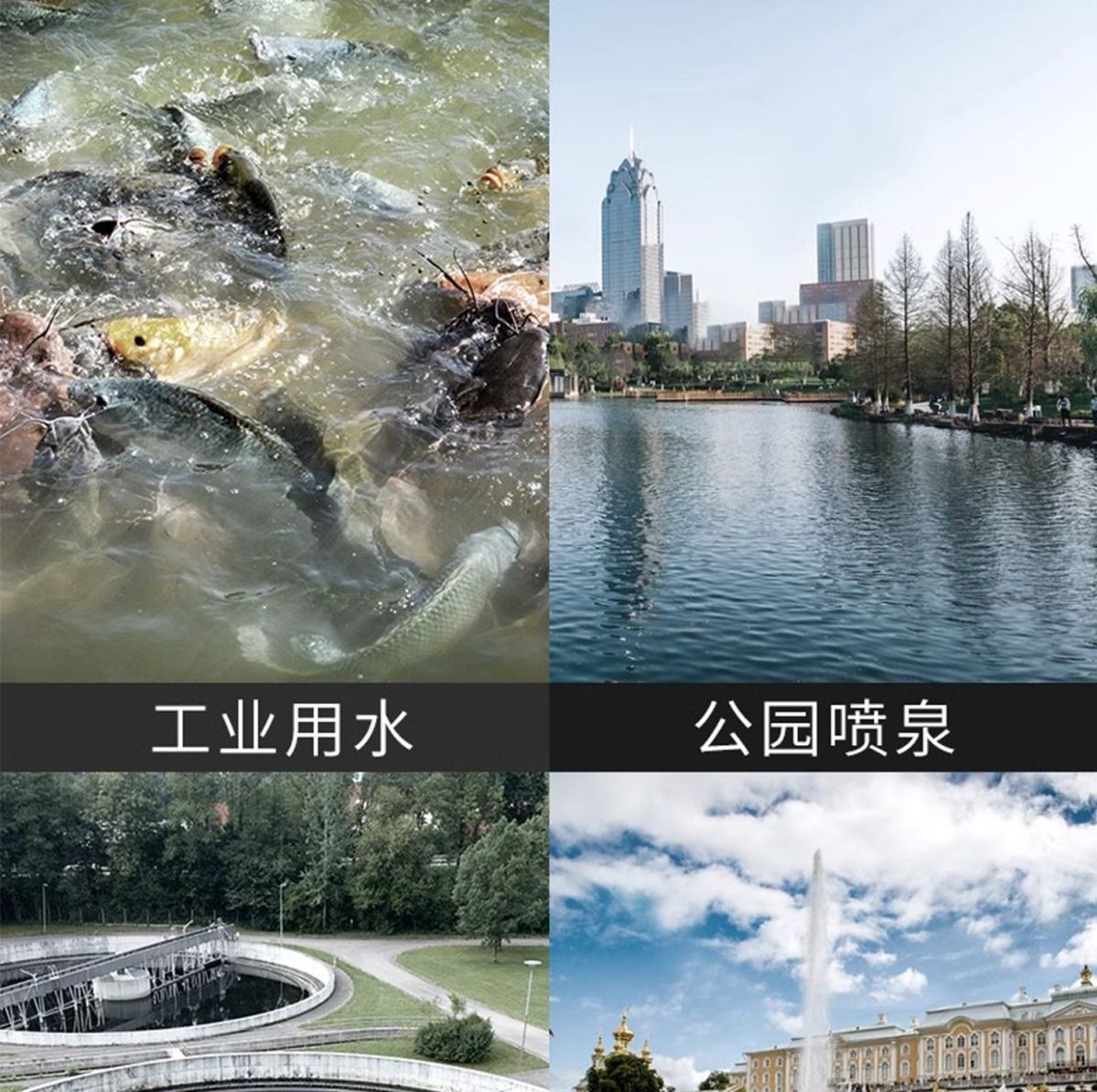 详情图片_26.jpg