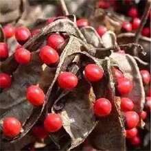 ���羳��؛���uĸ���N�Ӻ��t�����˶���˼����ȸ����˼�Ӷ����t