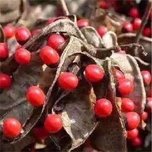 ���羳��؛���uĸ���N�Ӻ��t�����˶���˼����ȸ����˼�Ӷ����t