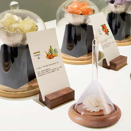 SPA美容院香薰闻香器香薰展精油试香漏斗通草花扩香石摆件礼物