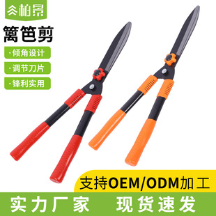 �G�h����֦���i�ʡ���h�ʼ��G����֦����ľ��ƺ���L���@�ֈ@ˇ��