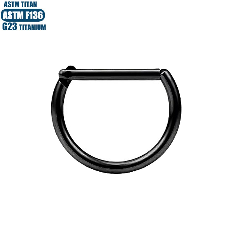 F136 Titanium Alloy Implant-Grade Nose Ring Zircon Earrings Seamless Ring Nose Ring Fashion Jewelry Septum Piercing Ear Bone Ring detail image 26