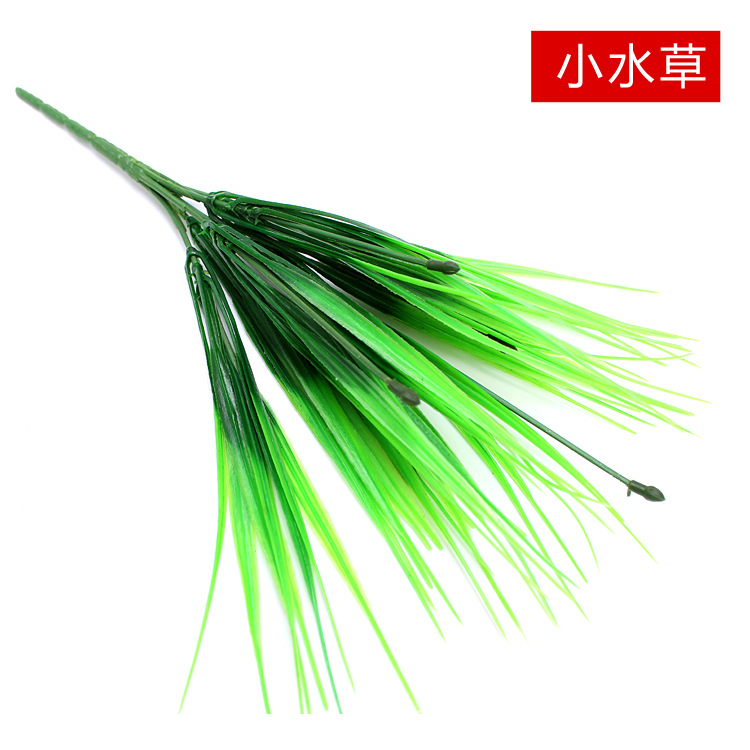 Plántulas y pasto de primavera.