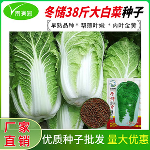 ����38���ﲥ��ײ˷N�Ӷ����S�İײ˷N���߲˿����ڸк��ͺ�