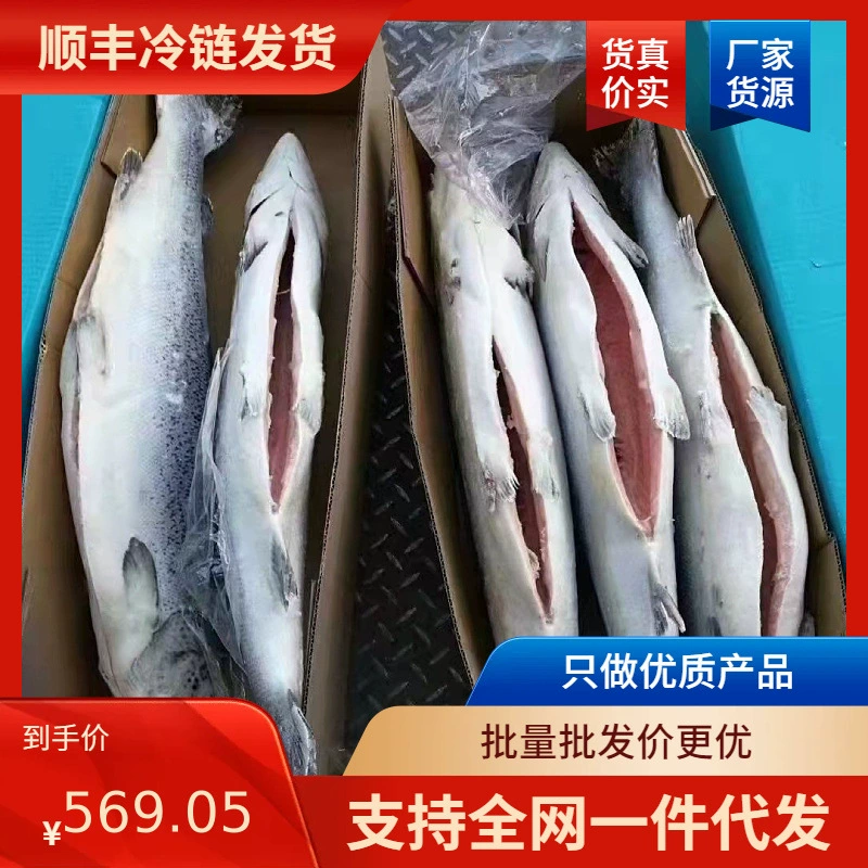 Глубоководная замороженная целая Семга 7 кг интеллектуальные импортные сашими Японский лосось Атлантический лосось