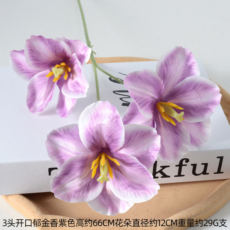 Tulipán abierto púrpura