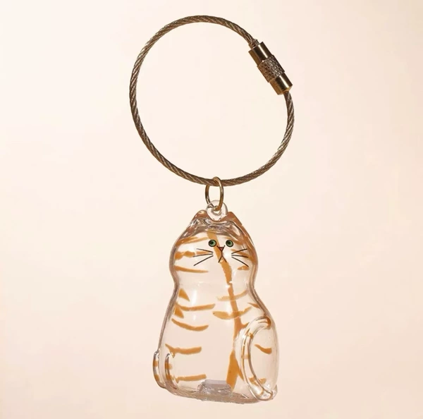 No. 6 Orange Cat