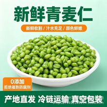 2026年新鲜农家自产青麦仁小麦粒煮粥炒菜去皮青麦子