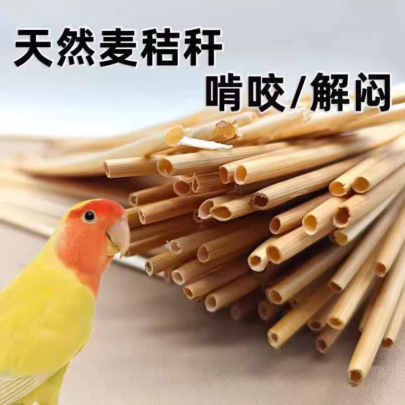 鹦鹉啃咬玩具天然麦秆小麦杆子消耗玩具饲养笼子造景布景小宠用品