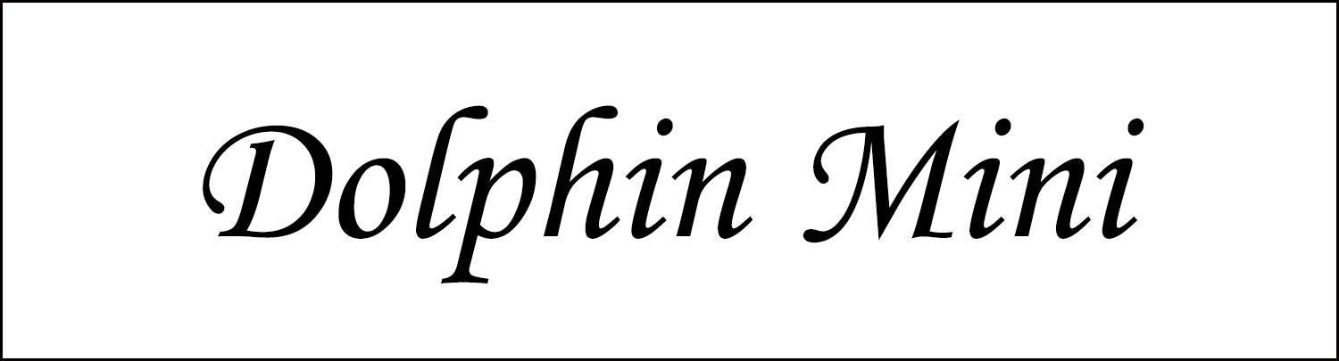 Suitable for Byd Dolphin Mini Window Visor