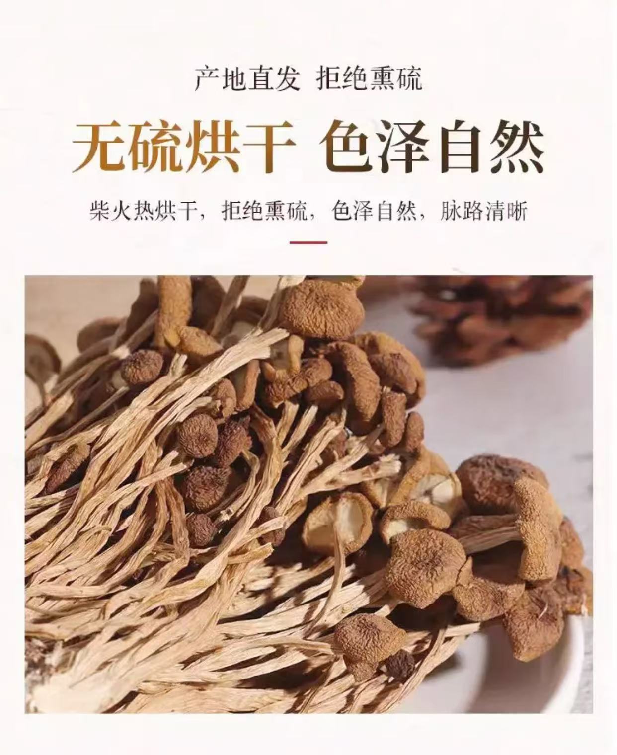 Dried Tea Tree Mushroom Cha Shu Gu Agrocybe cylindracea Sun-Dried Culinary Mushrooms for Soups and Stir-Fries 100g quality and texture