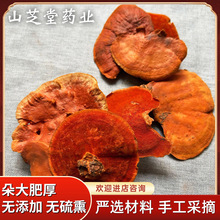 �t˨����ţ��֥�R�֥���l��؛���Ұ��һ��