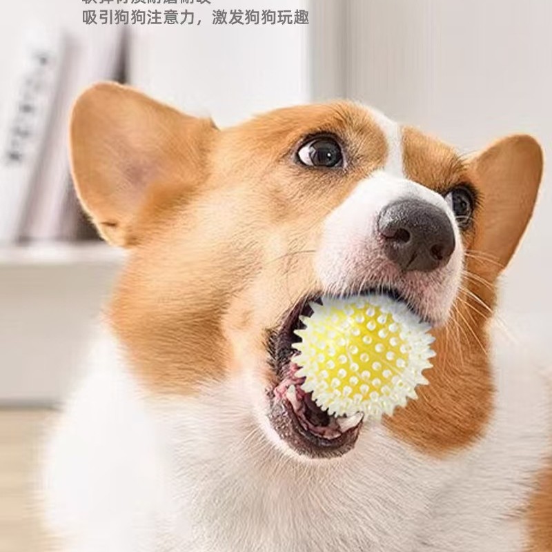 Cross-Border Popular Pet Dog Toy Large Thorn Ball Ball-In-Ball Double-Layer Football Basketball Tennis Chewing Toy 9cm