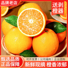 ����S�l؛���M��Ě��5 10�ｭ������Ӯa��ֱ�l���rˮ���������l