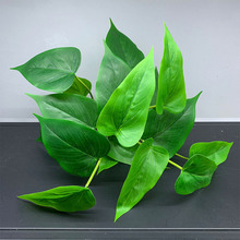 18�~�u���f����ֲ���ķ���G�}�R��ɏ�G�~С�辰�b��~�����l