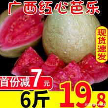 红番石榴 红番石榴品牌 图片 价格 红番石榴批发 阿里巴巴 红番石榴 红番石榴品牌 图片 价格 红番石榴批发 阿里巴巴