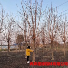 �������l ���ľ����� �������ľ�G�� ���^����Ҏ���Rȫ