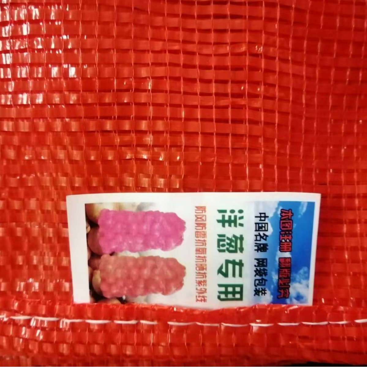 供应水果蔬菜包装用网眼袋白菜萝卜pp塑料袋包装保护用可批发出口