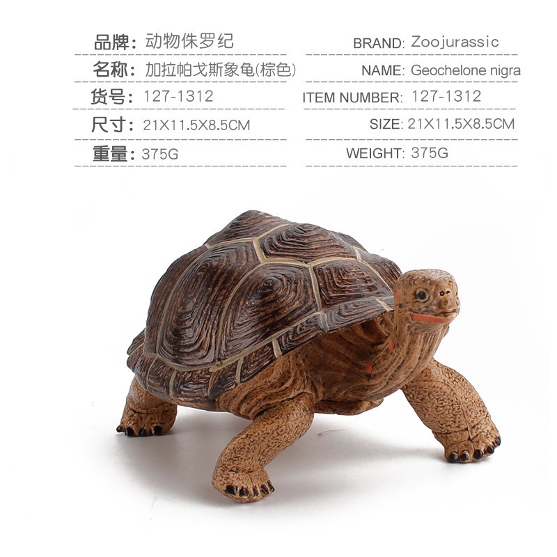 Simulación tortuga sólida Galápagos elefante tortuga juguetes marino mundo tortuga modelo de animal amazona