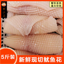 5斤新鲜大鱿鱼花冷冻鱿鱼卷生冻鲜墨鱼花目鱼筒商用海鲜水发鱿鱼