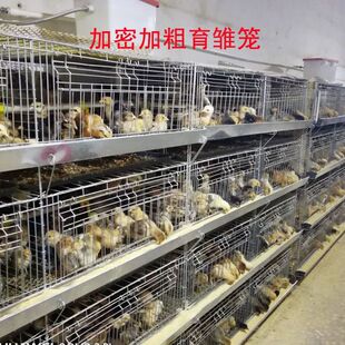 �Ӵּ���С�u�\���r�\���ӿ�ȸ��\��4��һ�wʽ�r�uС�uС���Z��