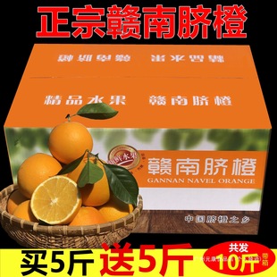 �����M��Ě��10/5�����������l�ЋD��ͯ�Fժ���rˮ���ք������