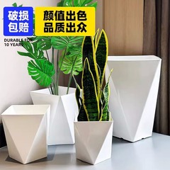 亀背竹大花盆軽豪華高級感樹脂家庭用緑大根幸福樹天堂鳥メーカー直販