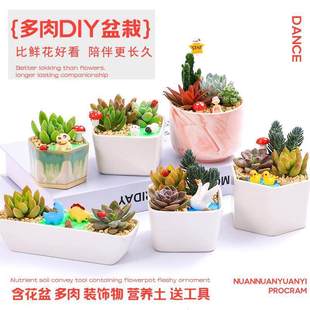 ����ֲ��M��DIY΢���^���ϰ��ײͰ״ɻ��蹫˾��F��Ӷ�������