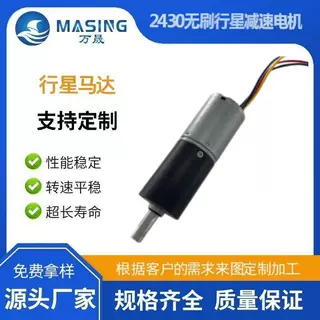 厂家直供BL2430双滚珠长寿命电动窗帘5G产品12v无刷行星减速电机