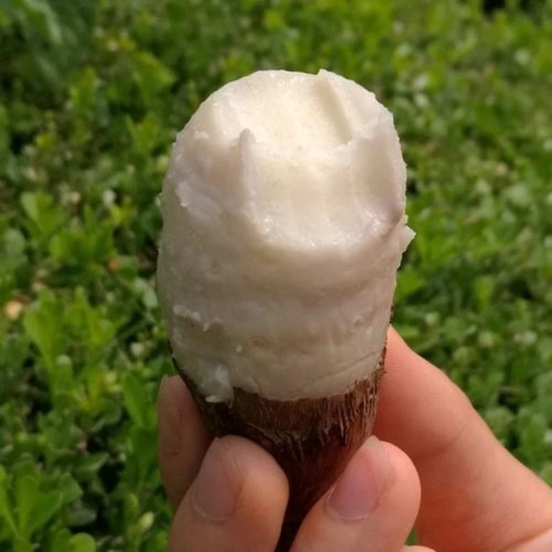 Fresh Taro from Yunnan and Shandong, Direct from the Farm, Free Shipping, Freshly Dug Small Taro, One-Piece Drop Shipping