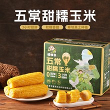 �峣��Ŵ�S�����_����ʳ�������������հ��b�ּZܛŴ�S��������