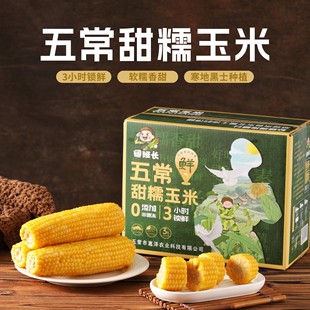 �峣��Ŵ�S�����_����ʳ�������������հ��b�ּZܛŴ�S��������