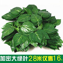 �ٻ������ٗl�~�ӾG�پG�~ˮ�ܵ��b��ړ��p�@���~����������