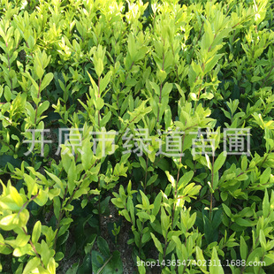 �|�����Թ������~ˮϞǤ��С�� �G�h���Խ��~ˮϞ���� ���~ˮϞ��