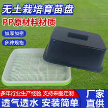 �̨ˮ�ඹѿ�Nֲ�P�o������ѿ�������P�����߲��㶹������P��