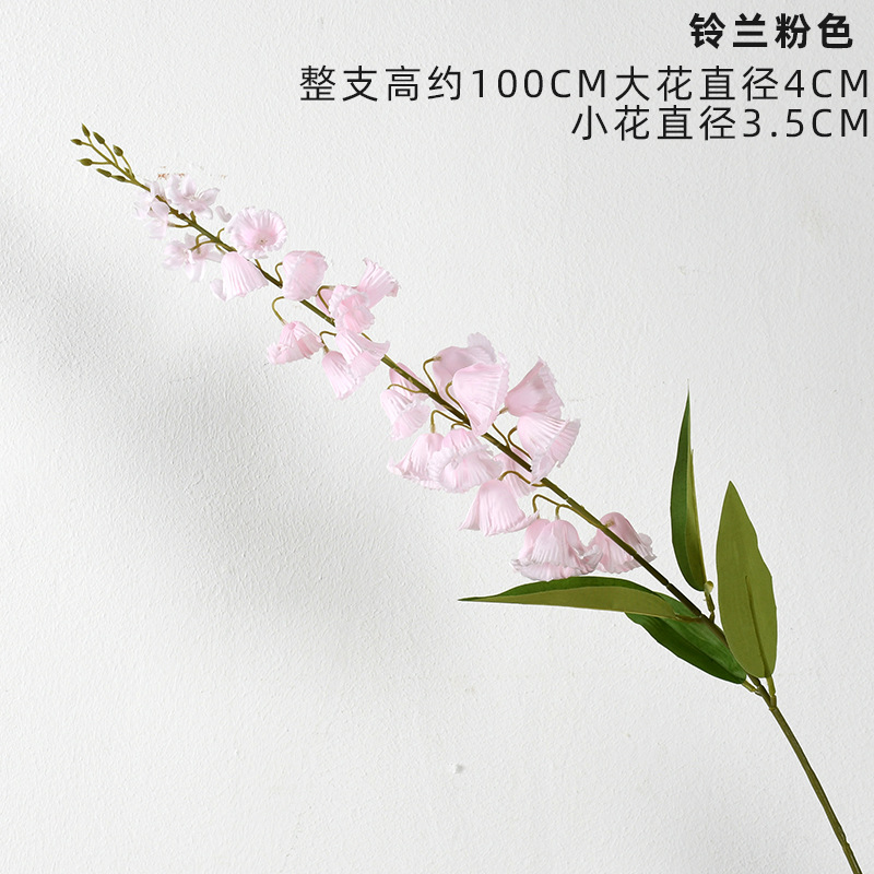 Lirio de los Valles Rosa de Tallo Largo