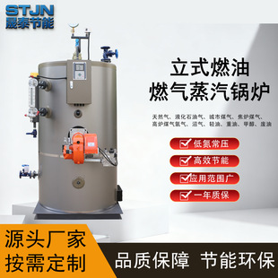 ��ʽ0.3t/hȼ��ȼ������偠t�״�Һ��������Ӛ�����ˮ�a�Bֳ