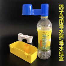 鸽子用品用具信鸽鹦鹉八哥鸟饮水器赛鸽喂食器食槽加厚食盒下料器