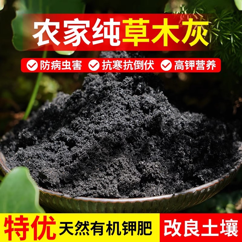 [현재 소성, 판매] 100% 순수 천연 그래스 그레이 1.5kg