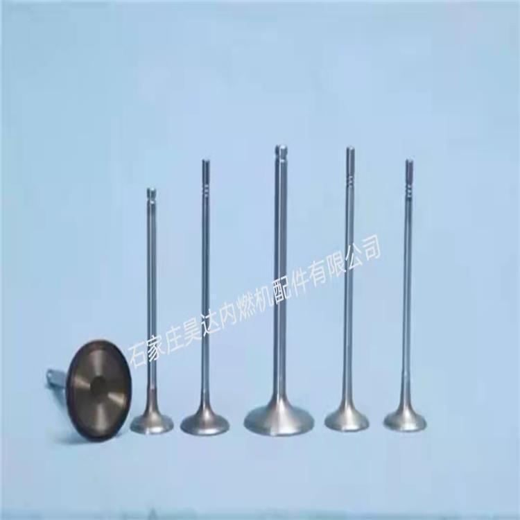 Applicable to Nissan MR18-MR20 HR16-HR15 QG15-18 SR20 Z24 engine intake and exhaust