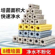 �~�׼{�׼�����ˮ�����^�V���������������^�V���մɃ�ˮ���