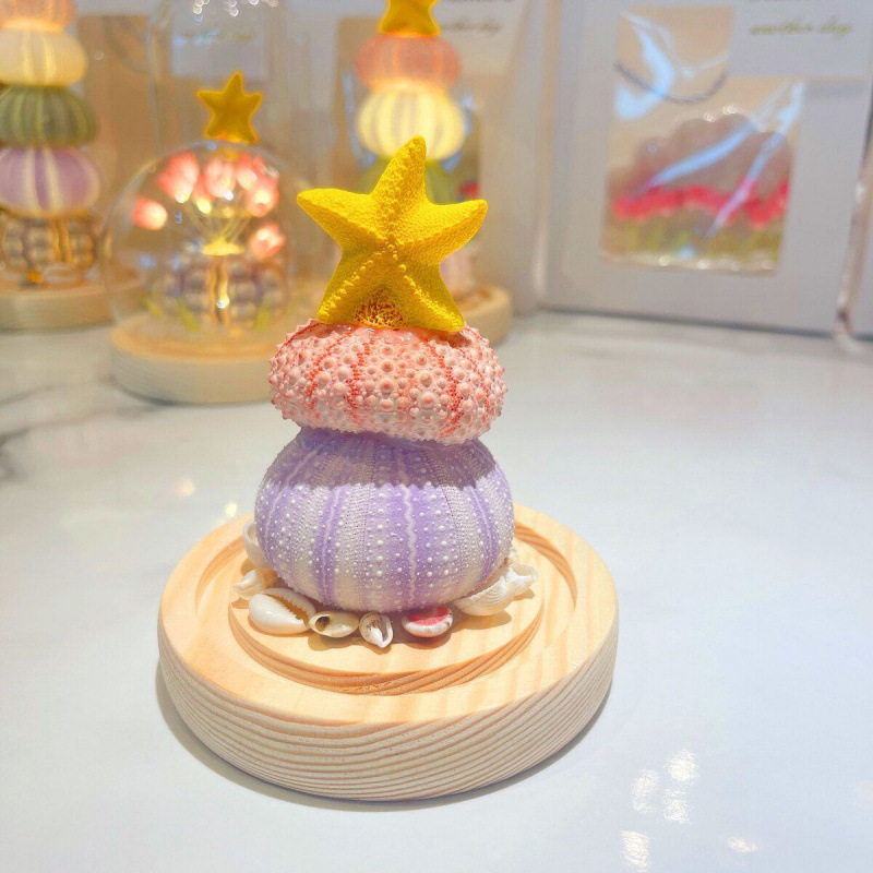 新年春节摆件贝壳diy海胆壳发光小夜灯材料包生日礼物送女友|undefined