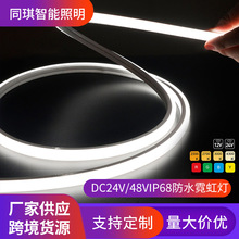 IP68户外防水霓虹灯氛围装饰低压贴片灯带工程亮化led柔性软灯条