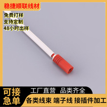 带壳护套电机电调用带线双头4MM香蕉头公母对接线