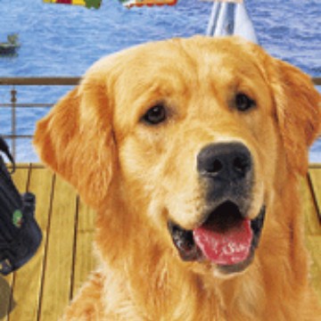 供应通过德国LFGB检测480ml可口可乐3D食品级杯子印刷厂家