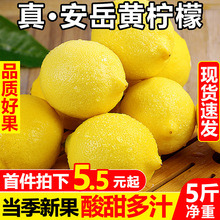 四川安岳黃檸檬5斤新鮮水果包郵當季精選皮薄一級香水鮮甜青檸檬6