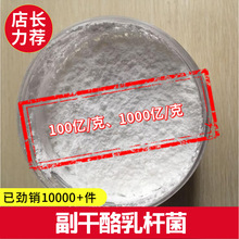 �S�r���l ��������U�� ������������� ���������w��� 1kg��ӆ